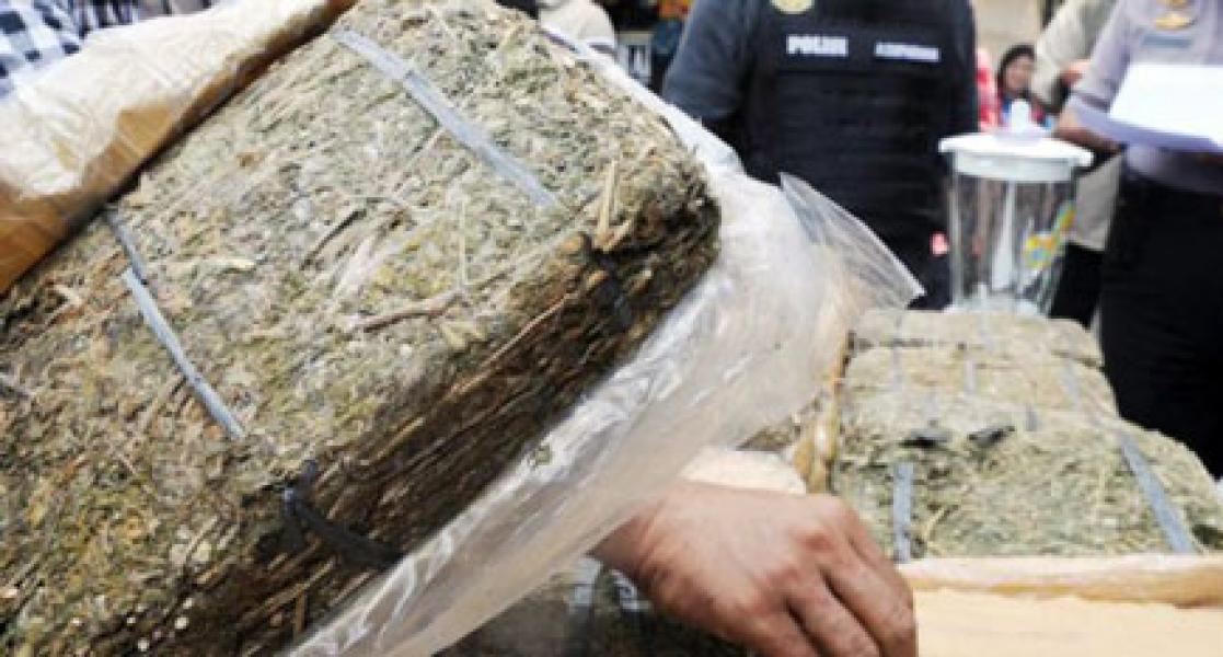 Polsek Bukit Raya Amankan 30 Kg Ganja Kering Tak Bertuan Asal aceh