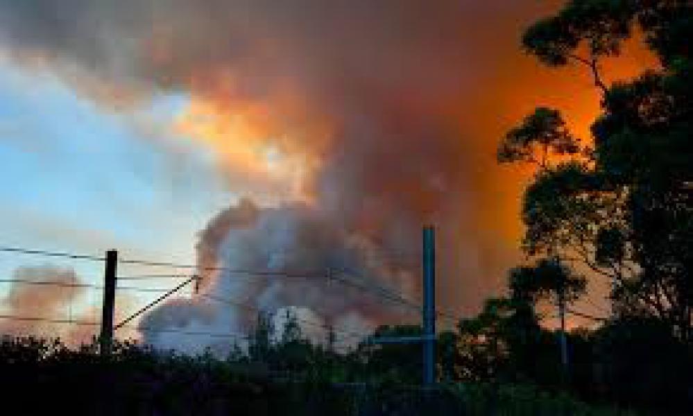 Atasi Kebakaran Hutan di Queensland, Pasukan Damkar Terus Dikerahkan