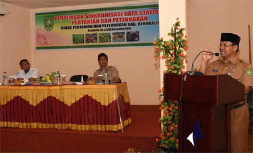 Distanak Bengkalis Gelar Kegiatan Sikronisasi Data Statistik Pertanian dan Peternakan