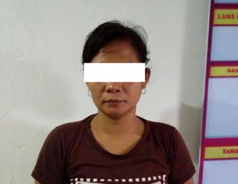 Jadi Pengedar Sabu, IRT di Rohul Diciduk Polisi