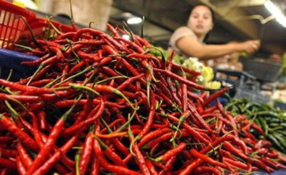 Musim Hujan, Harga Cabe Capai Rp90.000/kilo.