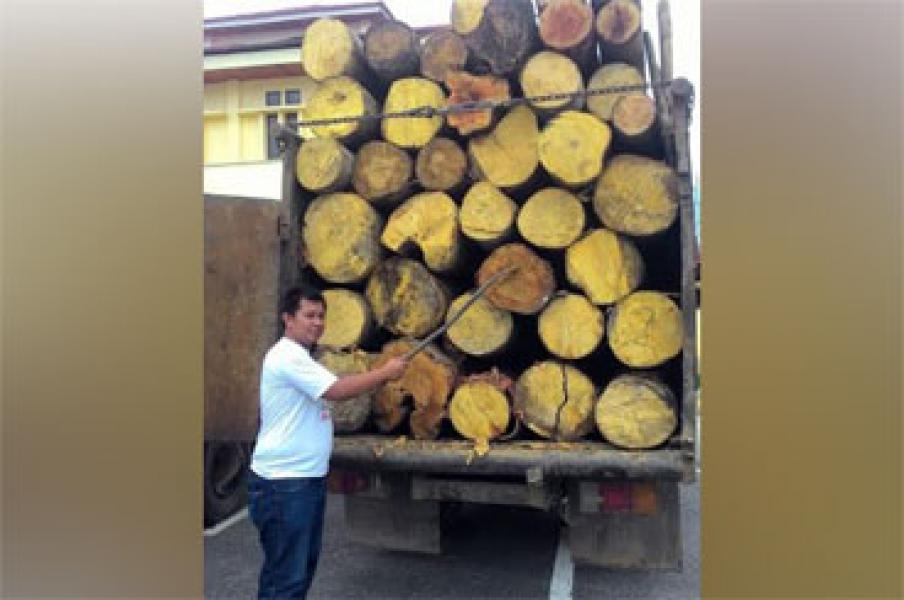 Sempat Dihadang, Polres Kampar Tangkap Pelaku Illegal Logging Beserta Truk Bermuatan Kayu Bulat