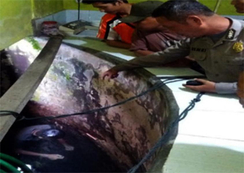 Belum Beraksi, Pencuri Ini Keburu Tewas di Sumur Rumah Korban