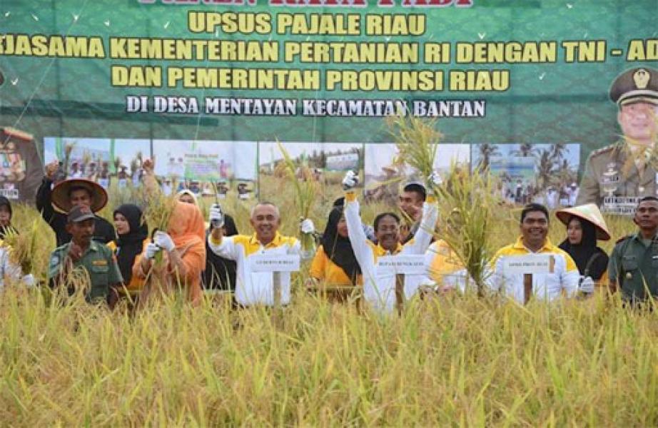 Gubri Panen Raya di Bengkalis 