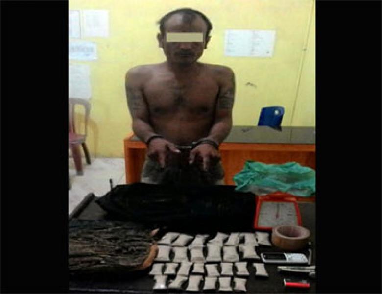 Polres Rohil Tangkap Pengedar Ganja Balam Sempurna
