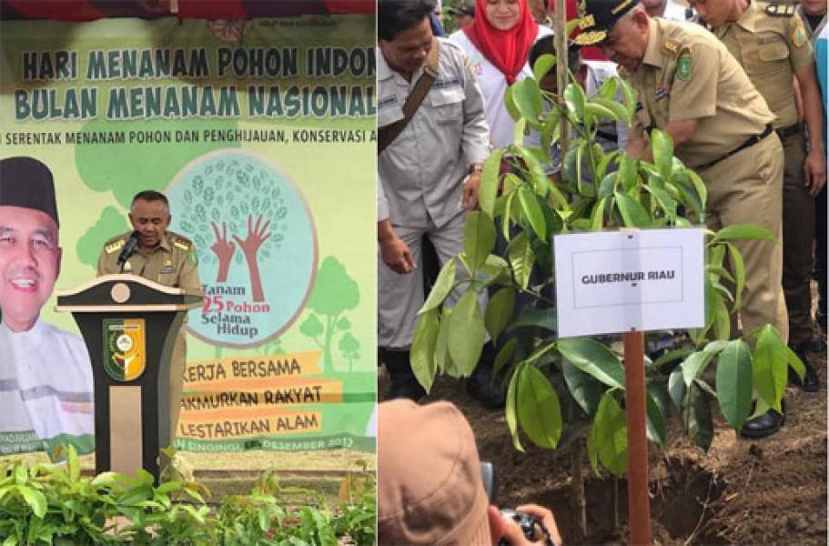 Sempena Hari Menanam Indonesia 2017, Gubri Tanam Pohon di Desa Pantai Kuantan Mudik