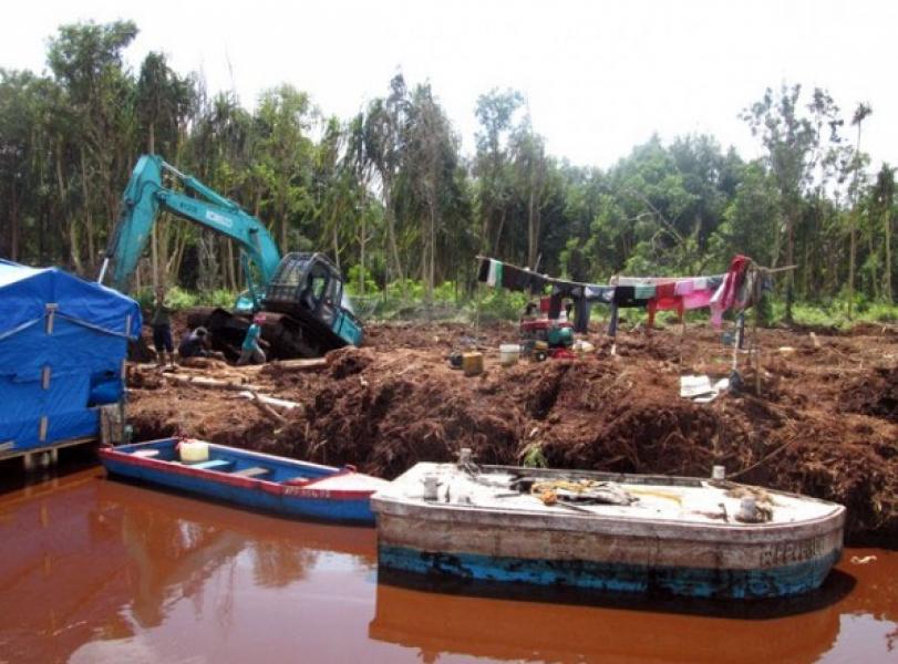 Dirjen PPKL Surati 600 Perusahaan HTI dan Perkebunan Pulihkan Ekosistem Gambut