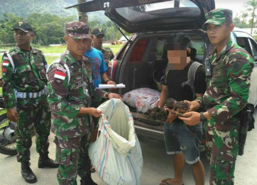 Satgas Pamtas Yonif Para Raider 328 Amankan 143 Kg Vanili Illegal