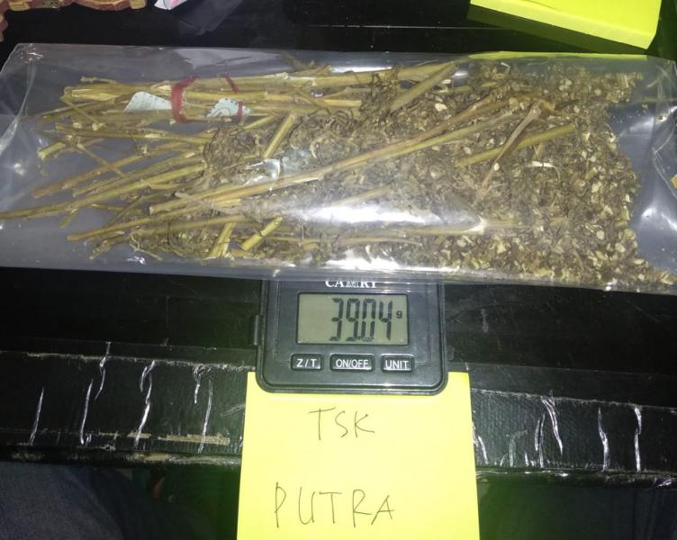 Sedang Asyik Konsumsi Ganja, Pengedar Narkoba Dibekuk