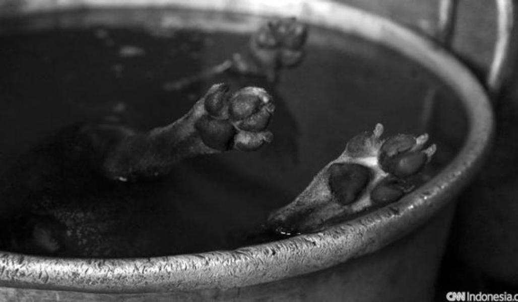 Sejarah Keakraban Warga Solo dengan Olahan Daging Anjing
