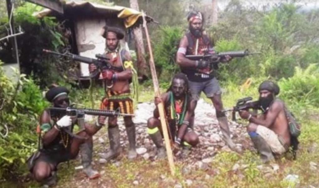 Kelompok Separatis Jadi Sumber Konflik, Negara Tuntut Penuntasan Terorisme di Papua