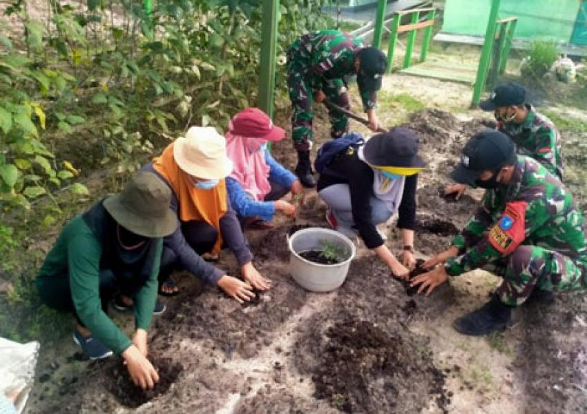 Manfaatkan Lahan Kosong, Satgas Pamtas Yonif 642/Kapuas Ajak Warga Temajuk Berkebun