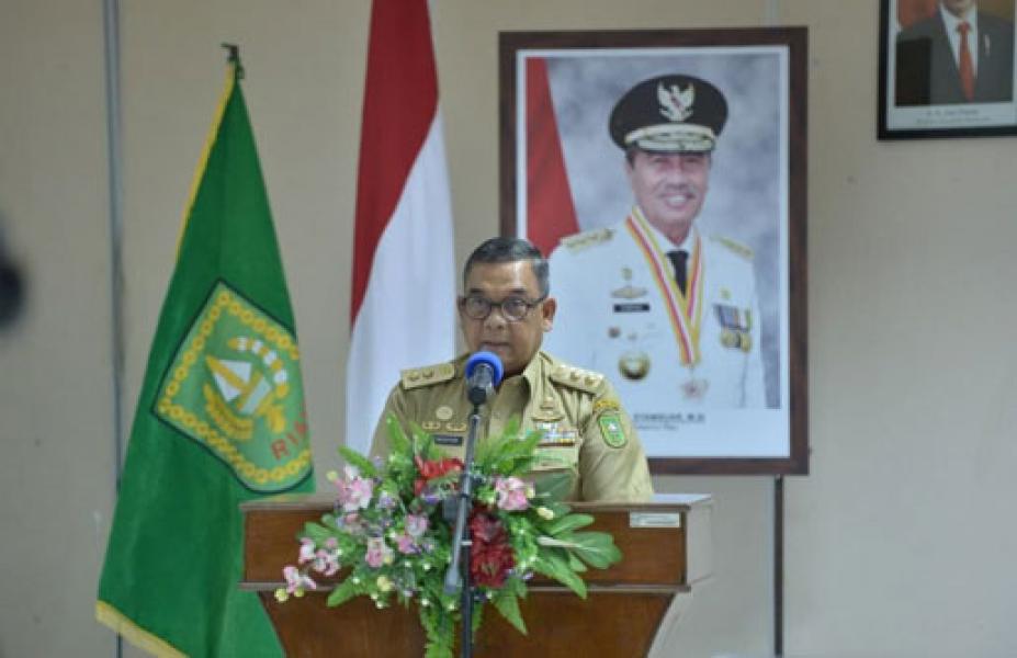 Percepatan Penangggulangan Kemiskinan di Riau, Wagubri Paparkan Agenda TKPK Tahun 2020