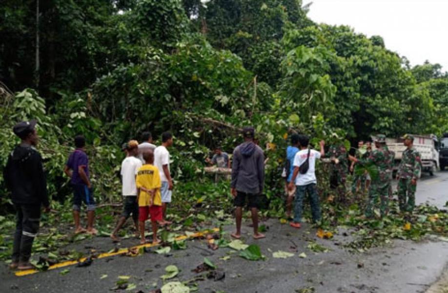 Pohon Tumbang Menutup Poros Jalan Keerom, Satgas Yonif MR 413 Kostrad Cepat Tanggap Evakuasi