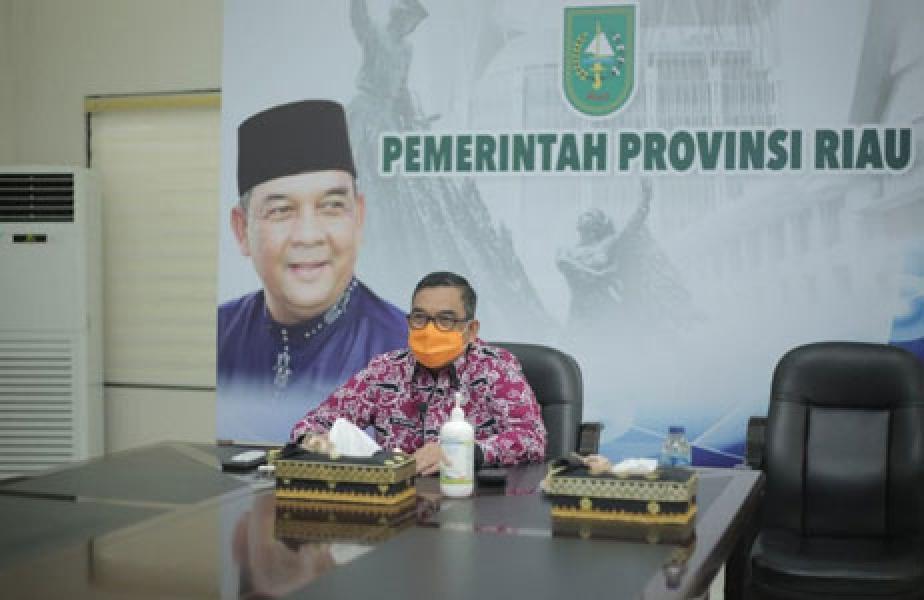 Riau 100 persen Teraliri Listrik, Wagubri: Gunakan Dengan Bijak